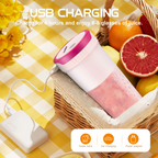 Portable Mini USB Rechargeable Blender Juicer Cup